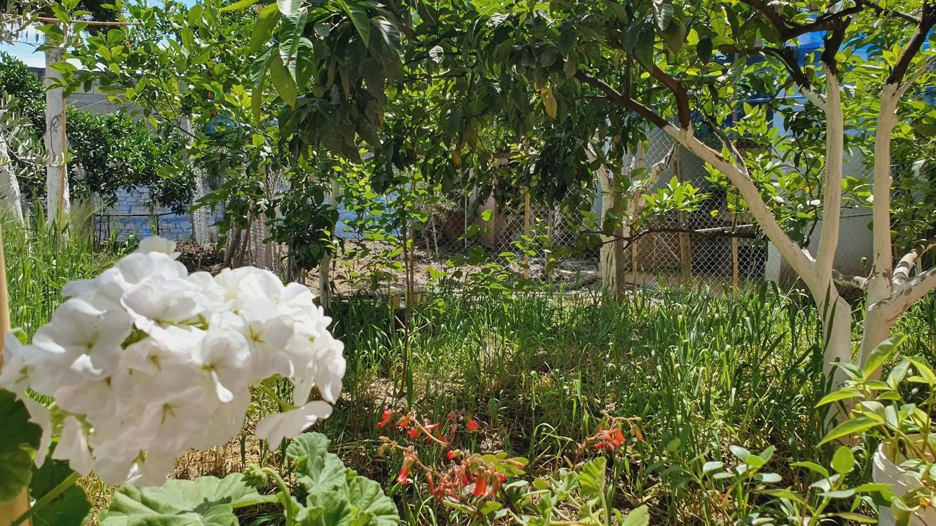 Guest House Sherifi Berat